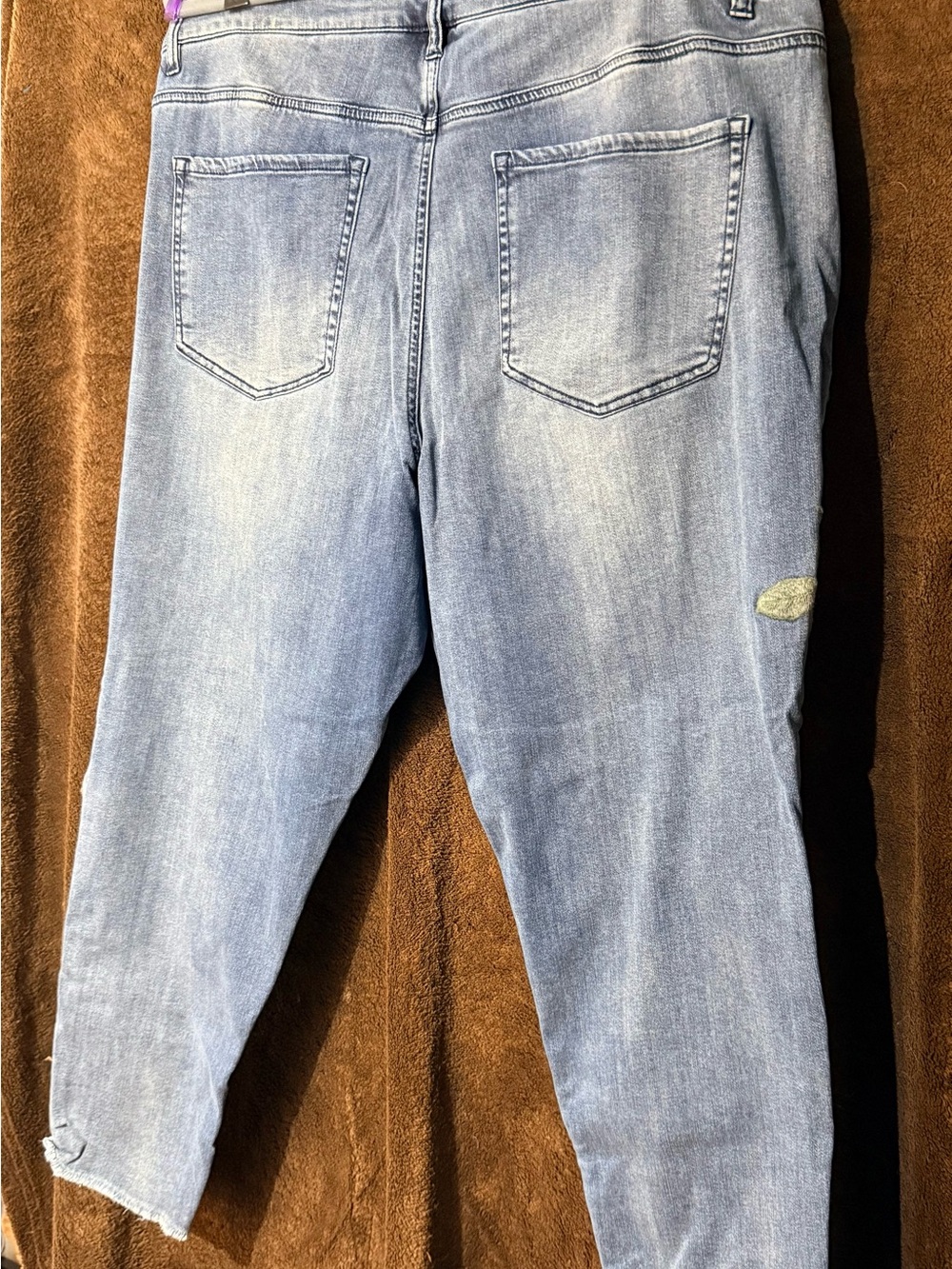 Lane Bryant Light Blue Cropped Jeans with Pink Rose Embroidery - Picture 7 of 8